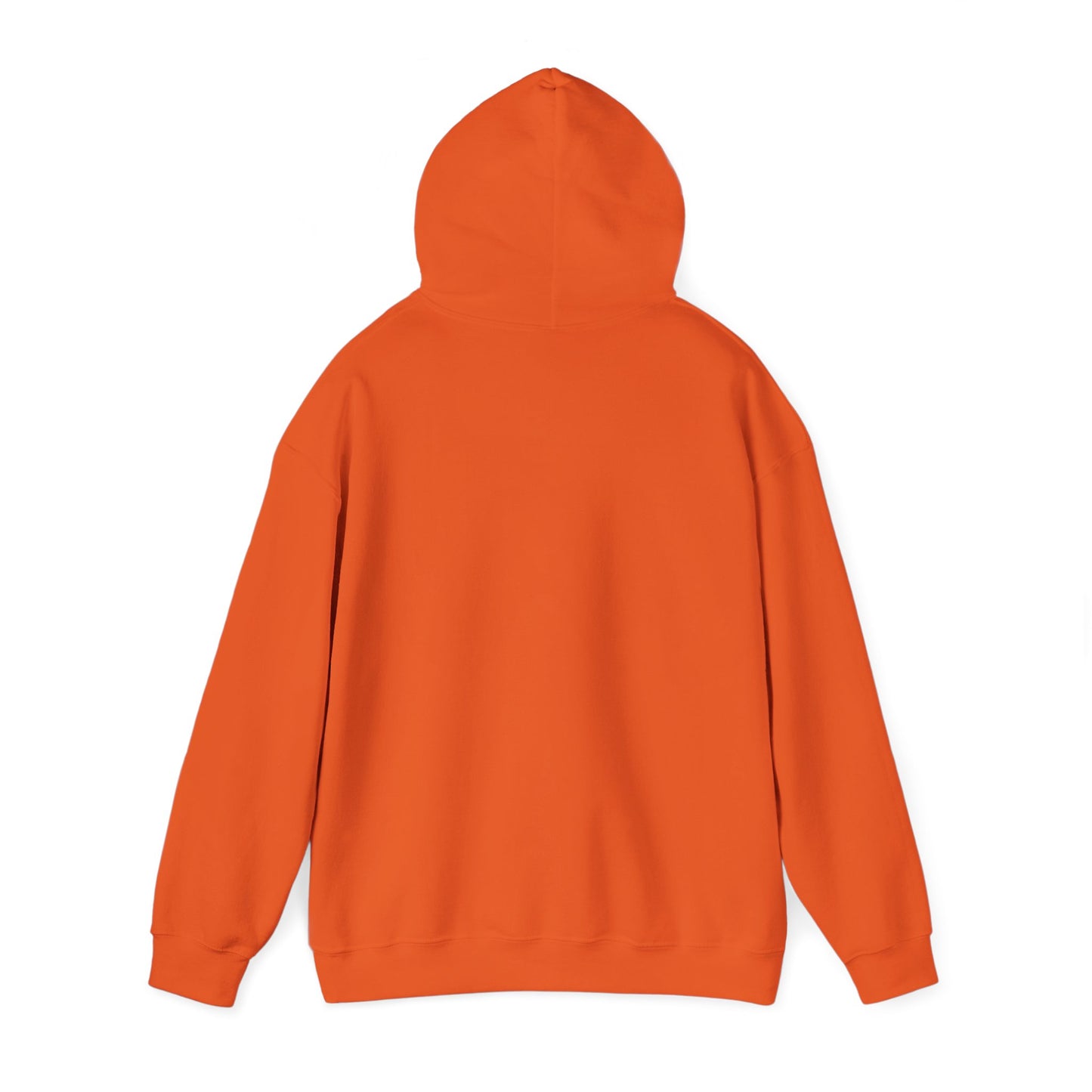 AU 365 Football Hoodie